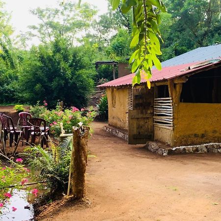 Eco Lodge Meemure & Adventure Park Mimure المظهر الخارجي الصورة