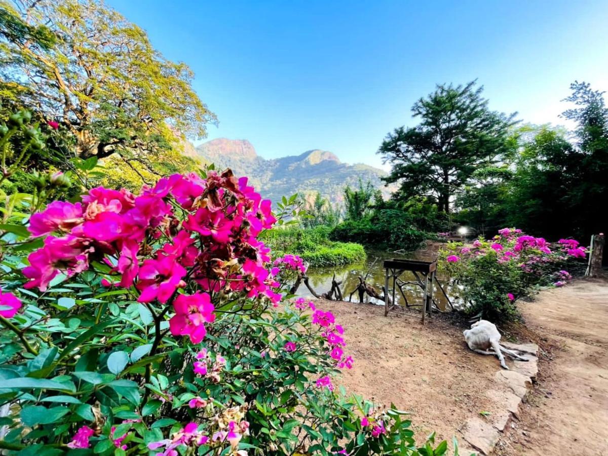 Eco Lodge Meemure & Adventure Park Mimure المظهر الخارجي الصورة