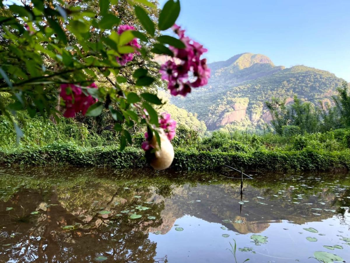 Eco Lodge Meemure & Adventure Park Mimure المظهر الخارجي الصورة