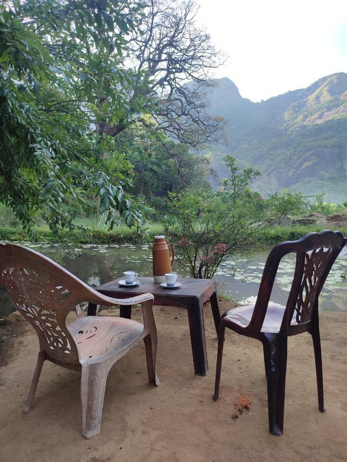 Eco Lodge Meemure & Adventure Park Mimure المظهر الخارجي الصورة