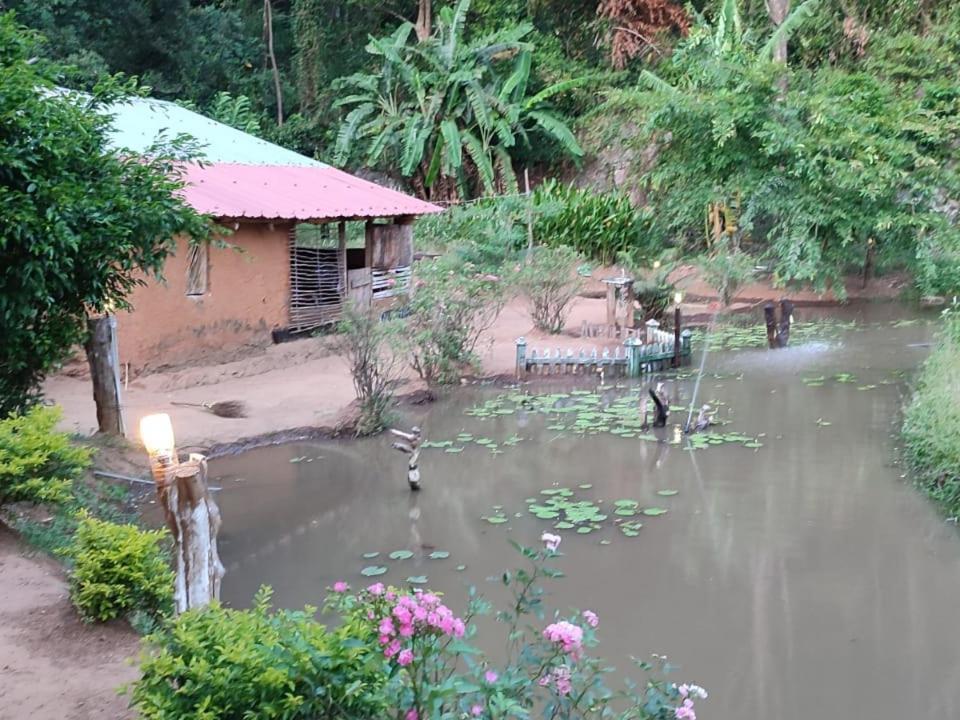 Eco Lodge Meemure & Adventure Park Mimure المظهر الخارجي الصورة