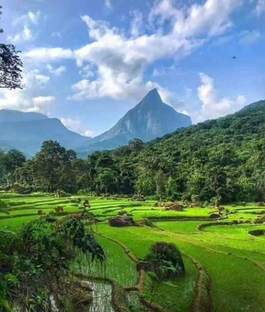 Eco Lodge Meemure & Adventure Park Mimure المظهر الخارجي الصورة